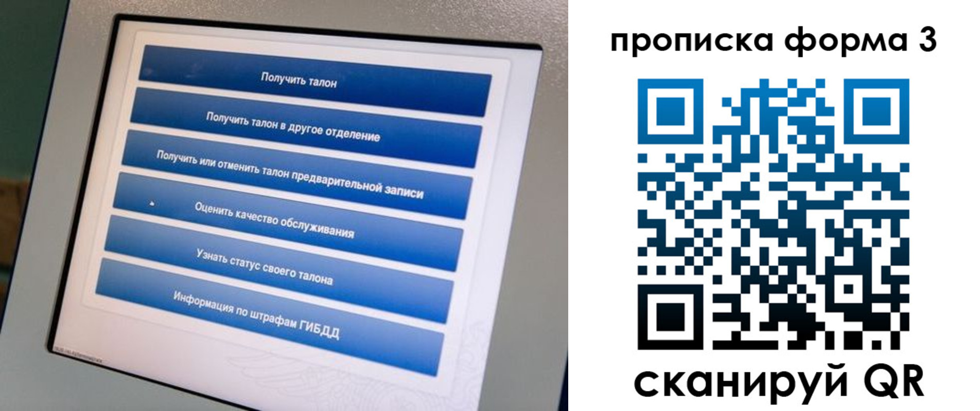 прописка в квартире в Новгородской области